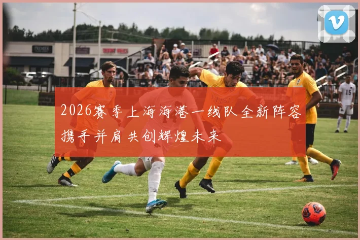 2026赛季上海海港一线队全新阵容携手并肩共创辉煌未来