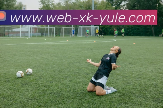 星空娱乐发展历程